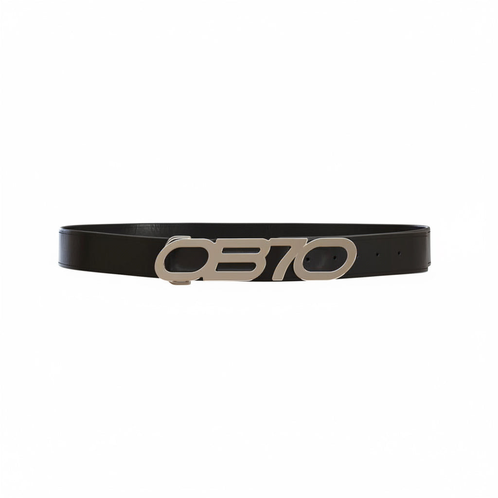 Black belt with a silver buckle on a white background